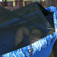 Royal Blue A