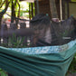 Sage Green B