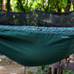 Sage Green B